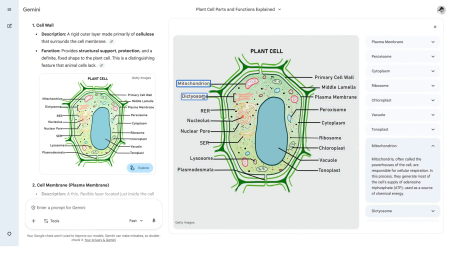 nueva apuesta educativa de Gemini