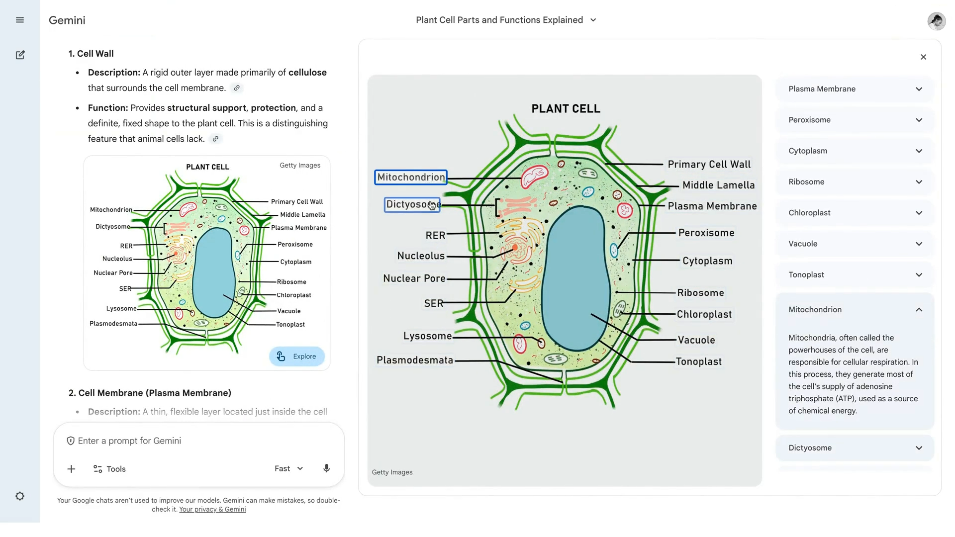 Explorar conceptos complejos con imágenes interactivas: la nueva apuesta educativa de Gemini