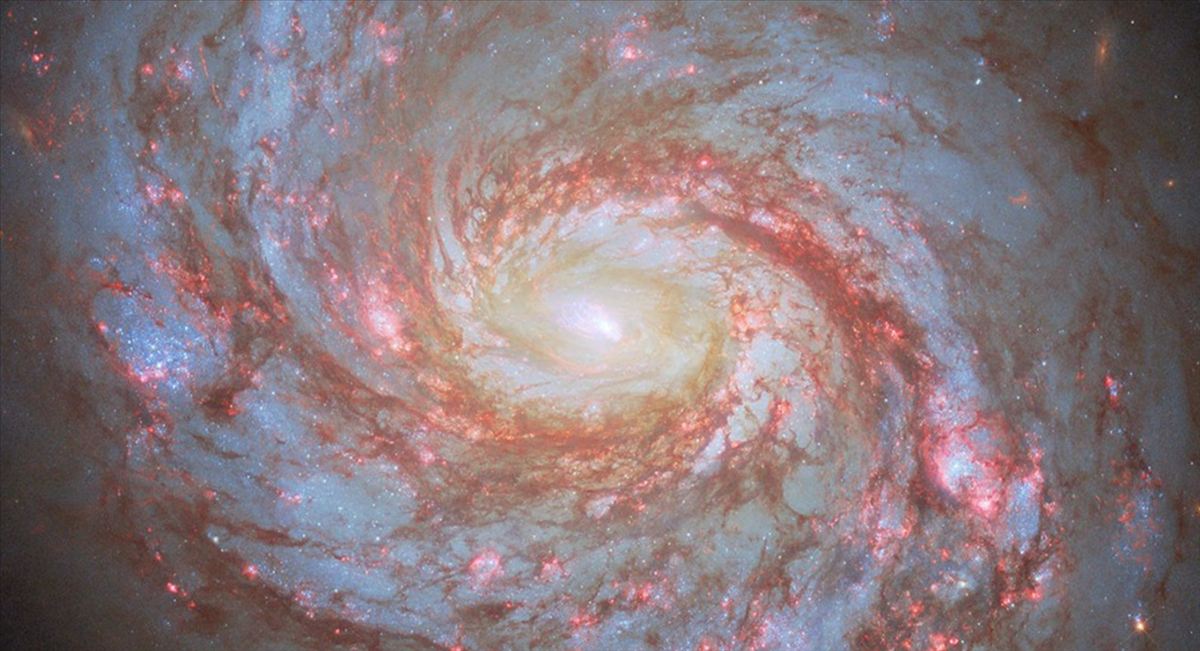 El James Webb fotografía el corazón de la galaxia Calamar y encuentra un «faro de luz» de 8 millones de soles