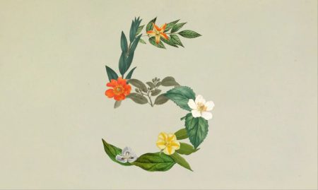 Claude Sonnet 5: Anthropic lanza su modelo más agentivo de la gama Sonnet, cerca del rendimiento de Opus a precios de Sonnet