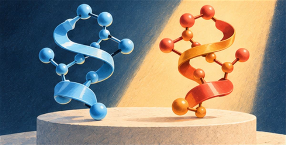 El Nobel de Química 2026 va a Kagan y Soai por resolver por qué la vida eligió una sola mano